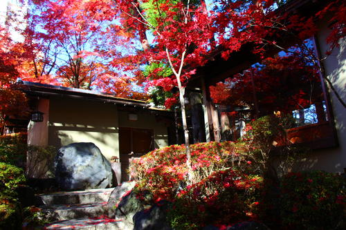 20251110teien (16).JPG