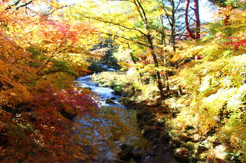 20251110teien (18).JPG