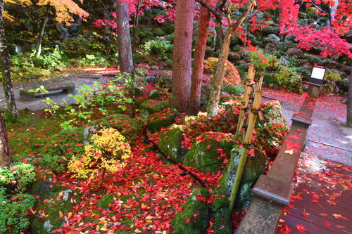 20251110teien (19).JPG