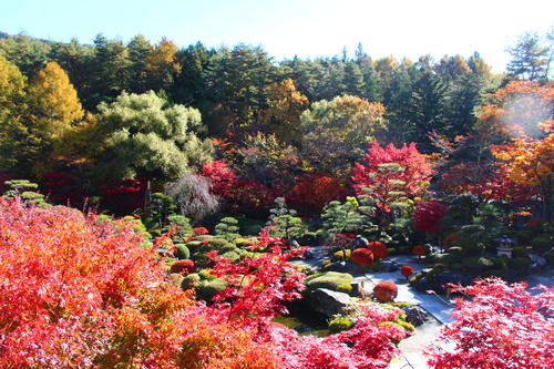 20251110teien (2).JPG