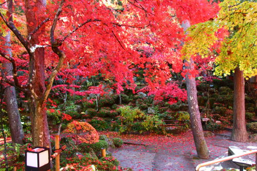 20251110teien (20).JPG