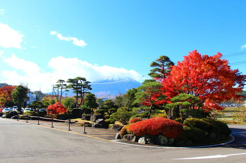 20251110teien (27).JPG