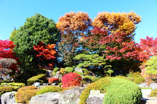 20251110teien (28).JPG