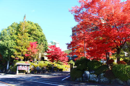 20251110teien (29).JPG