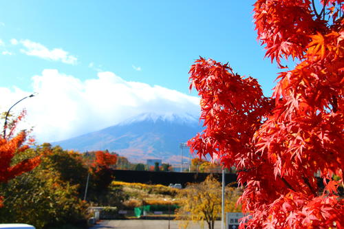 20251110teien (30).JPG