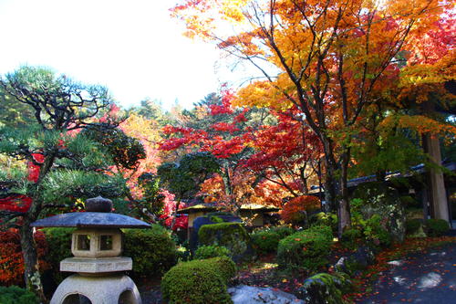 20251110teien (4).JPG