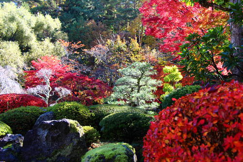 20251110teien (5).JPG