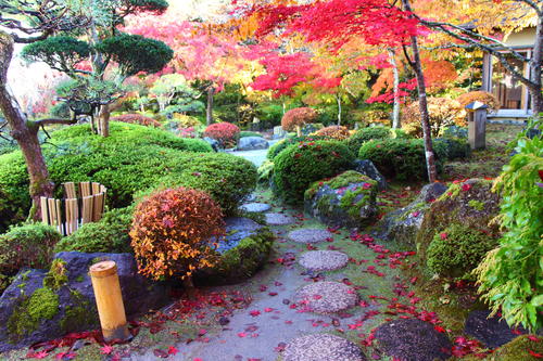 20251110teien (7).JPG