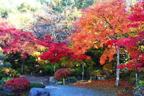 20251110teien (8).JPG