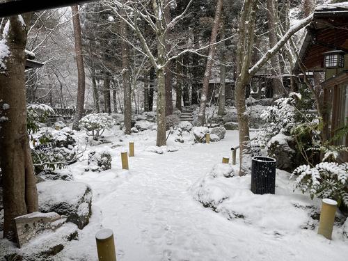 20260207teien (2).JPG