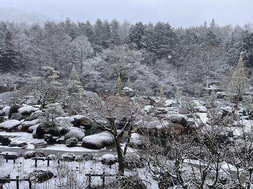 20260207teien (4).JPG