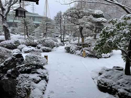 20260207teien (5).JPG