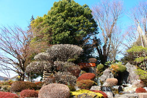 20260307teien (1).JPG