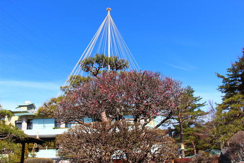 20260307teien (11).JPG