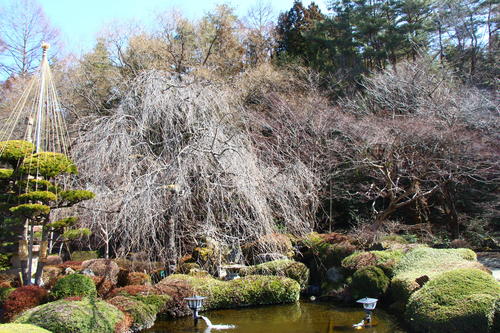 20260307teien (13).JPG