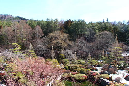 20260307teien (7).JPG