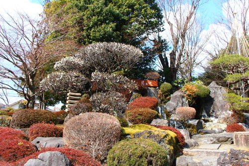 20260310teien (1).JPG