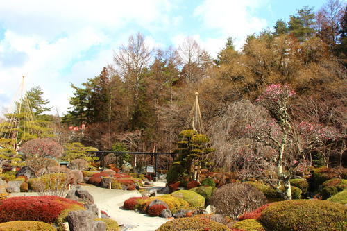 20260310teien (15).JPG