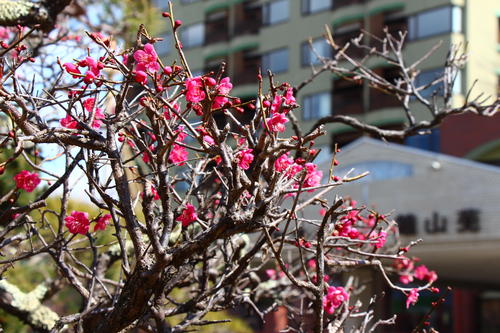 20260310teien (7).JPG