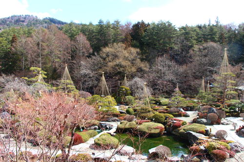 20260310teien (8).JPG