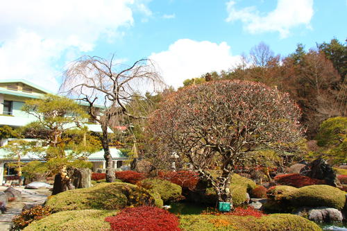 20260310teien (9).JPG