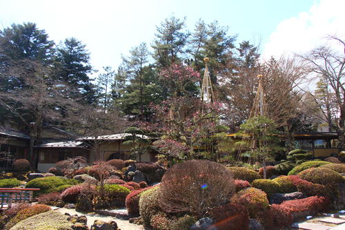 20260312teien (13).JPG