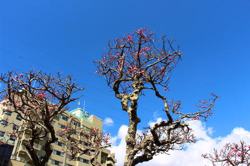 20260312teien (14).JPG