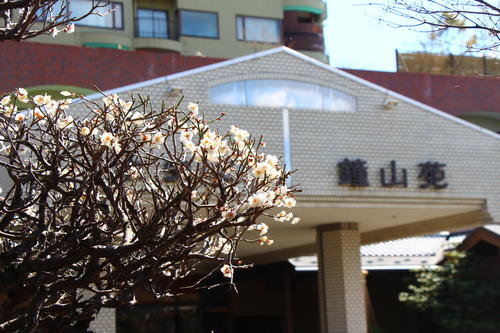 20260312teien (3).JPG