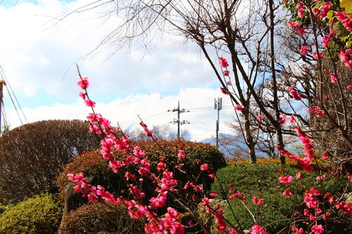 20260312teien (6).JPG