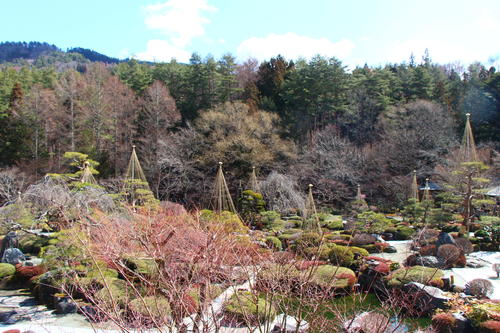 20260312teien (7).JPG