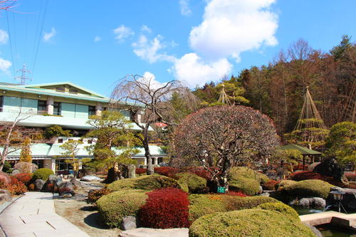 20260312teien (8).JPG