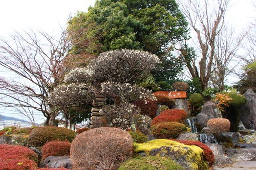 20260316teien (1).JPG