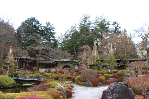 20260316teien (12).JPG