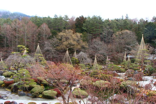 20260316teien (7).JPG