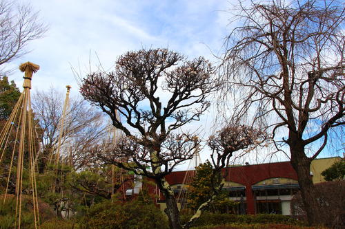 20260319teien (1).JPG