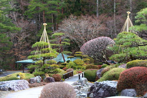 20260319teien (12).JPG