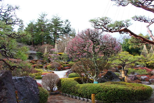 20260319teien (14).JPG