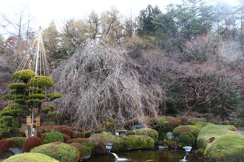 20260319teien (18).JPG