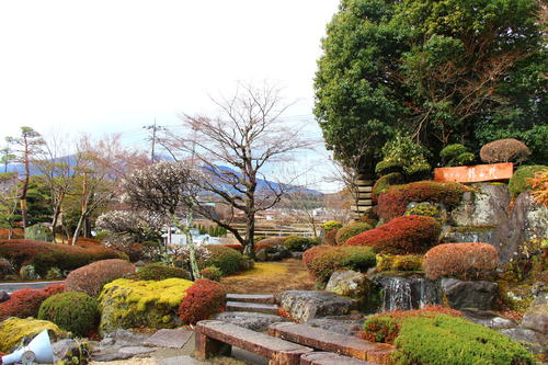 20260319teien (3).JPG