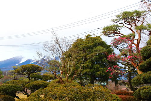 20260319teien (7).JPG