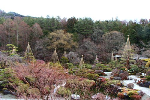 20260319teien (8).JPG