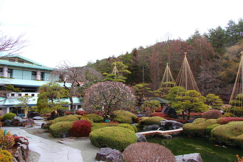 20260319teien (9).JPG