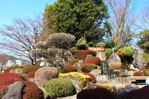 20260322teien (1).JPG