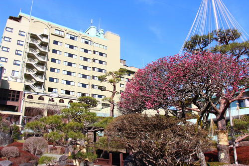 20260322teien (15).JPG