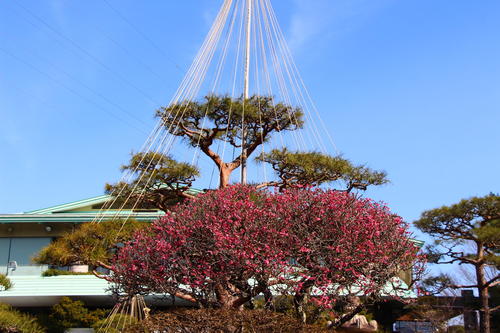 20260322teien (16).JPG