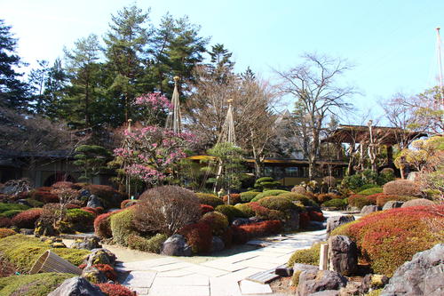 20260322teien (17).JPG