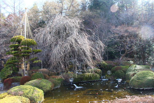 20260322teien (18).JPG