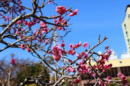 20260322teien (19).JPG