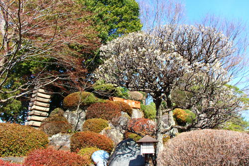 20260322teien (2).JPG