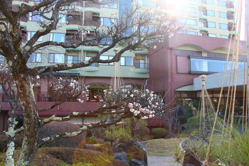 20260322teien (5).JPG